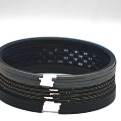 Piston O Ring R050002