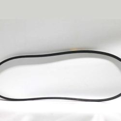 Belt V Ribbed R520001