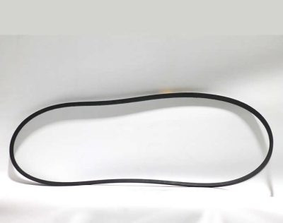 Belt V Ribbed R520001