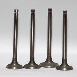 Exhaust Valve 495-03020