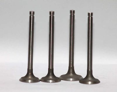 Exhaust Valve 495-03020