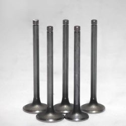 Exhaust Valve R010002