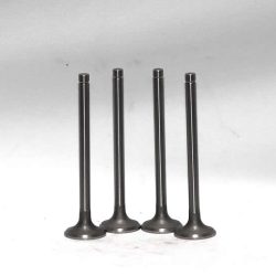 Exhaust Valve R010002