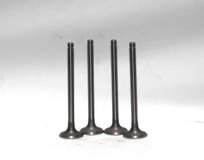 Exhaust Valve R010002