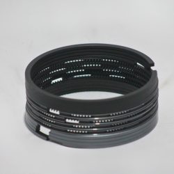 Piston Ring Kit R1050002