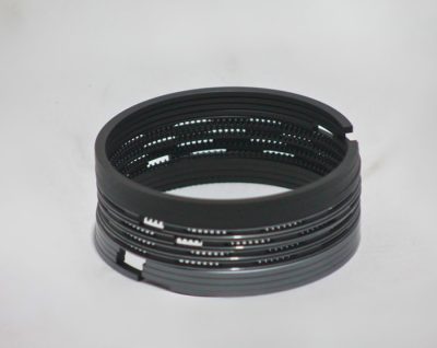 Piston Ring Kit R1050002