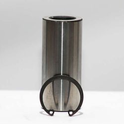 Piston Pins & Clips 495-04005W