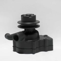 Water Pump R51001