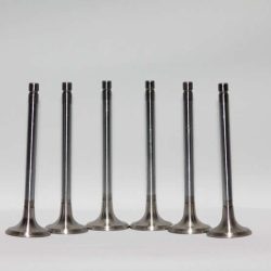 Exhaust Valve 1007016/D9B1